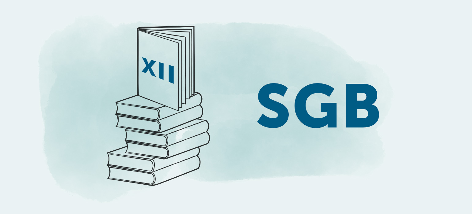 SGB XII in der Plfege » Sozialhilfe | pflege.de