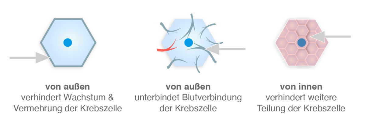 Wirkungsweisen der Antikörpertherapie