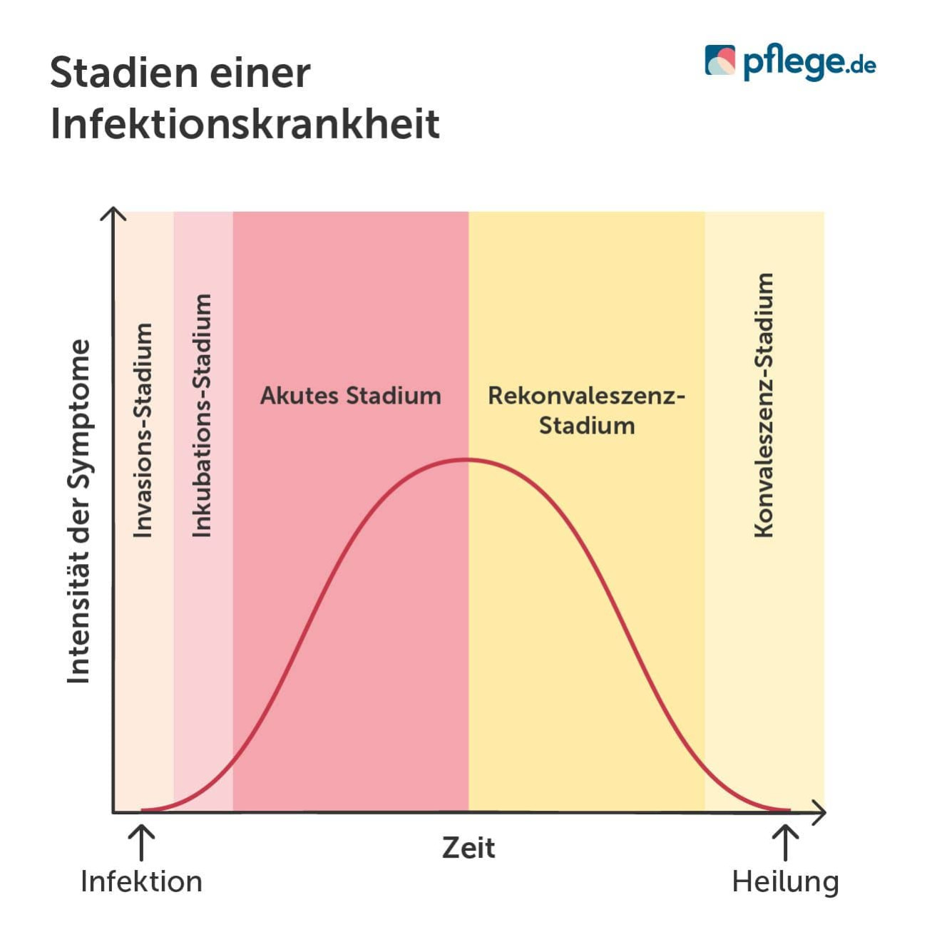 Stadien einer Infektionskrankheit im Verlauf